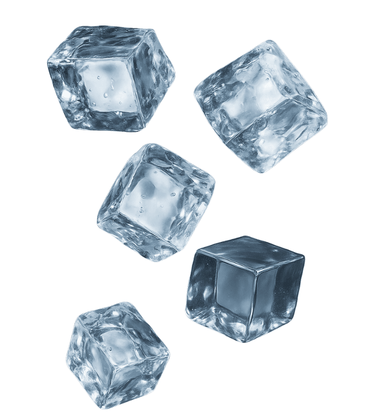 Strona Główna 1 Projekt bez nazwy 1